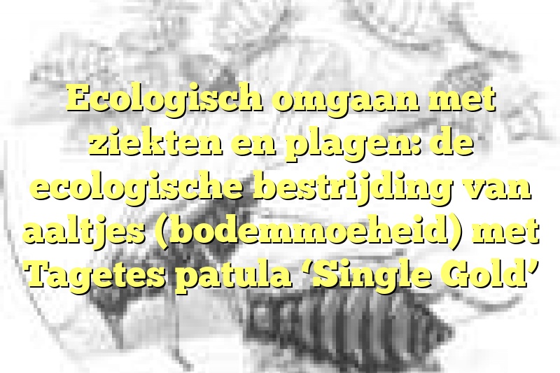 Ecologisch omgaan met ziekten en plagen: de ecologische bestrijding van aaltjes (bodemmoeheid) met Tagetes patula ‘Single Gold’