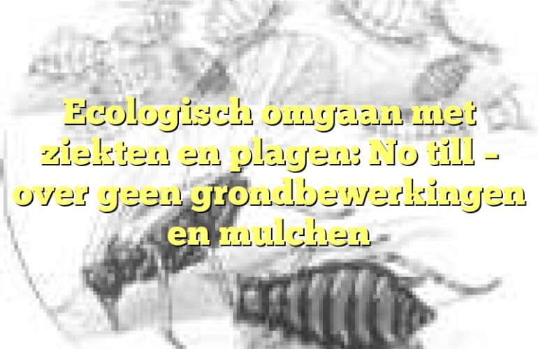 Ecologisch omgaan met ziekten en plagen: No till – over geen grondbewerkingen en mulchen