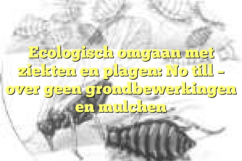 Ecologisch omgaan met ziekten en plagen: No till – over geen grondbewerkingen en mulchen