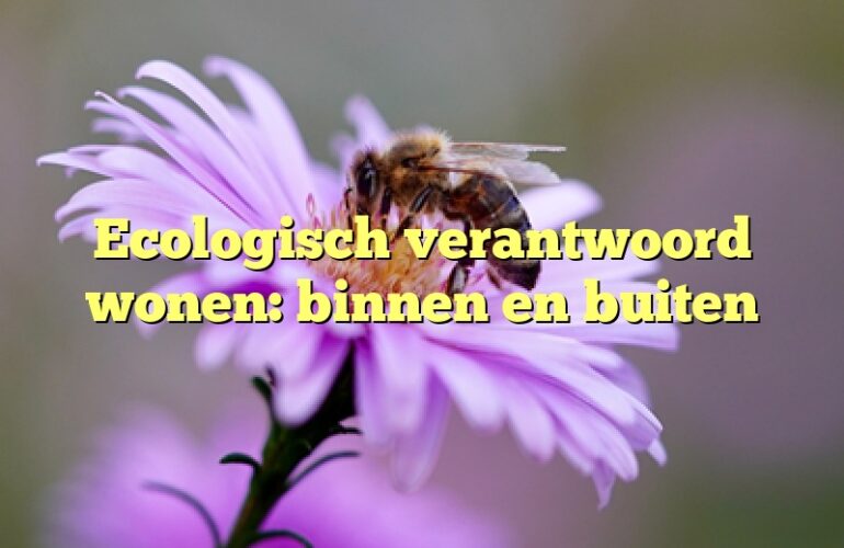 Ecologisch verantwoord wonen: binnen en buiten