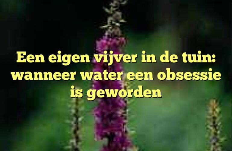 Een eigen vijver in de tuin: wanneer water een obsessie is geworden