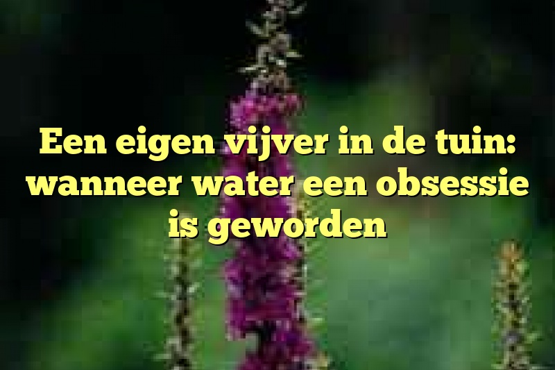 Een eigen vijver in de tuin: wanneer water een obsessie is geworden