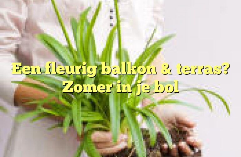 Een fleurig balkon & terras? Zomer in je bol