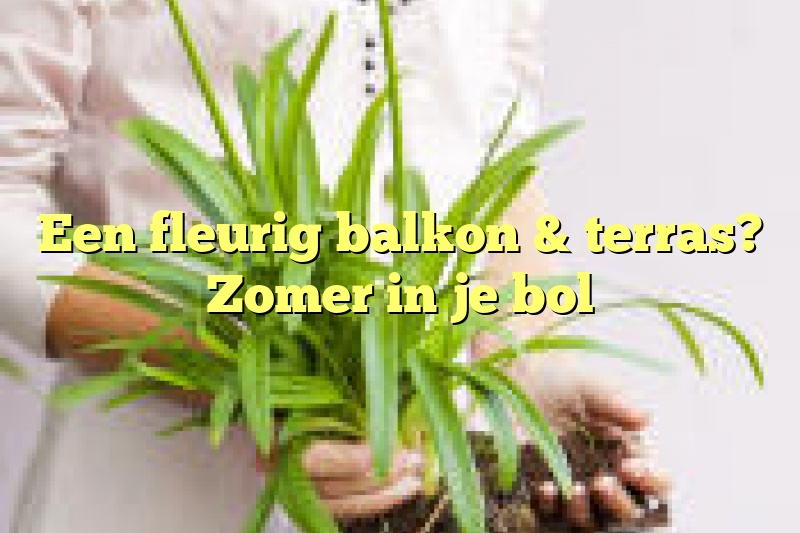 Een fleurig balkon & terras? Zomer in je bol