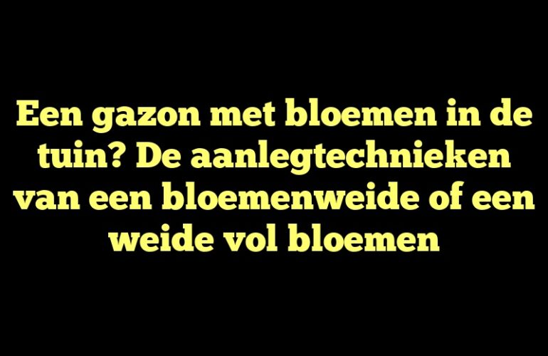 Een gazon met bloemen in de tuin? De aanlegtechnieken van een bloemenweide of een weide vol bloemen