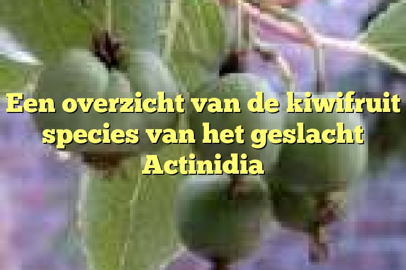 Een overzicht van de kiwifruit species van het geslacht Actinidia