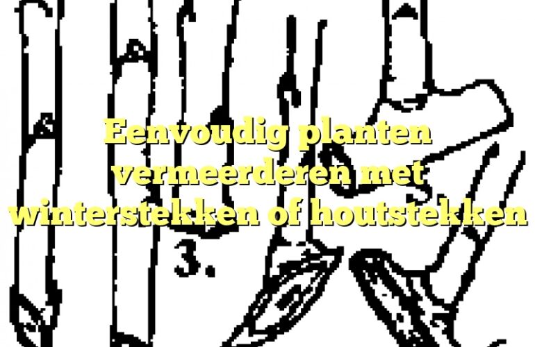 Eenvoudig planten vermeerderen met winterstekken of houtstekken