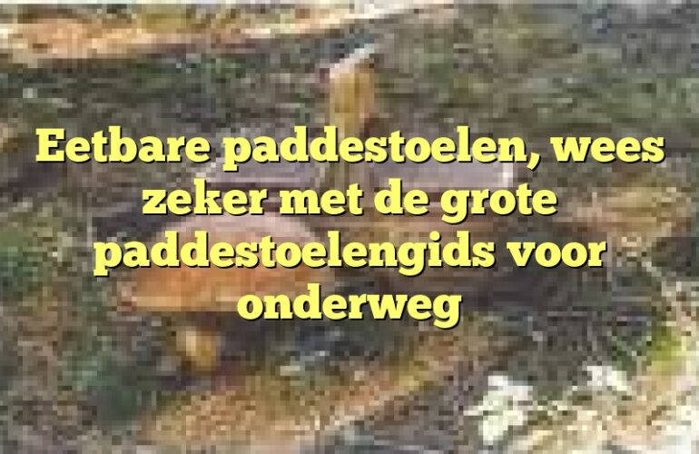 Eetbare paddestoelen, wees zeker met de grote paddestoelengids voor onderweg