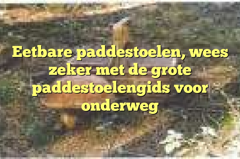 Eetbare paddestoelen, wees zeker met de grote paddestoelengids voor onderweg