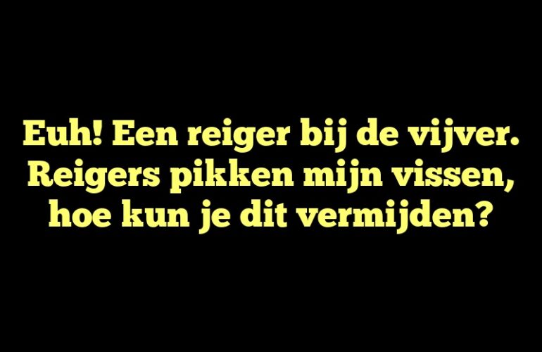 Euh! Een reiger bij de vijver. Reigers pikken mijn vissen, hoe kun je dit vermijden?