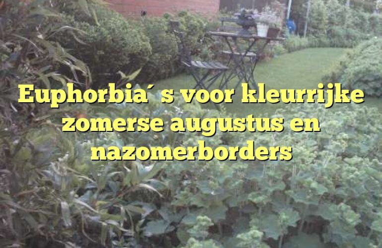 Euphorbia´s voor kleurrijke zomerse augustus en nazomerborders