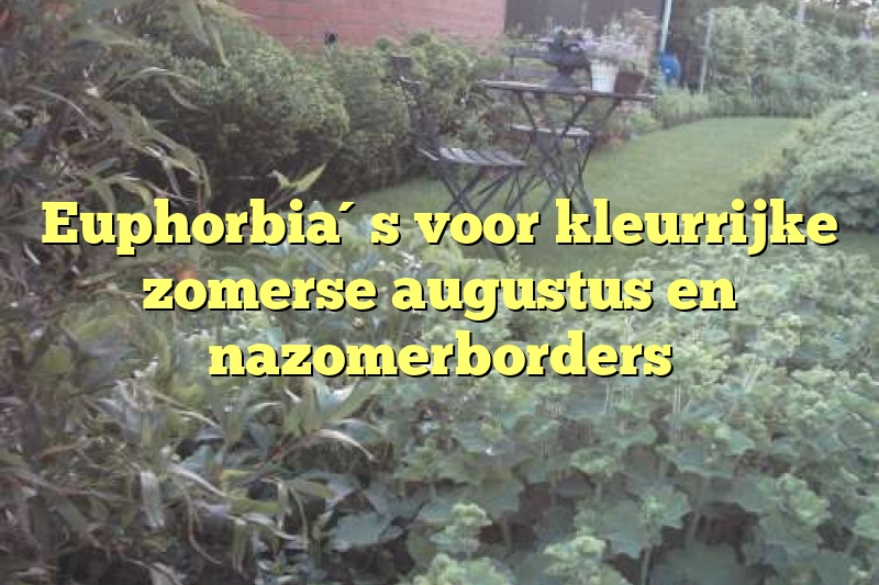 Euphorbia´s voor kleurrijke zomerse augustus en nazomerborders