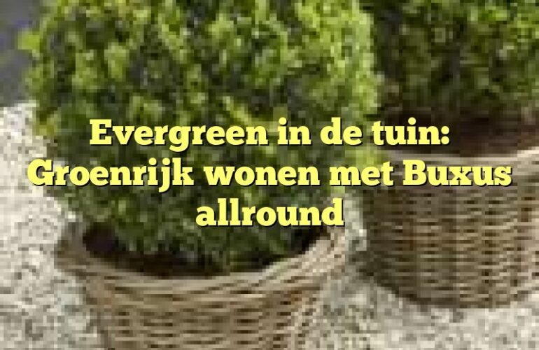 Evergreen in de tuin: Groenrijk wonen met Buxus allround