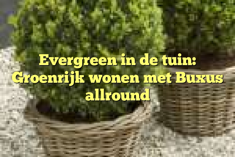 Evergreen in de tuin: Groenrijk wonen met Buxus allround