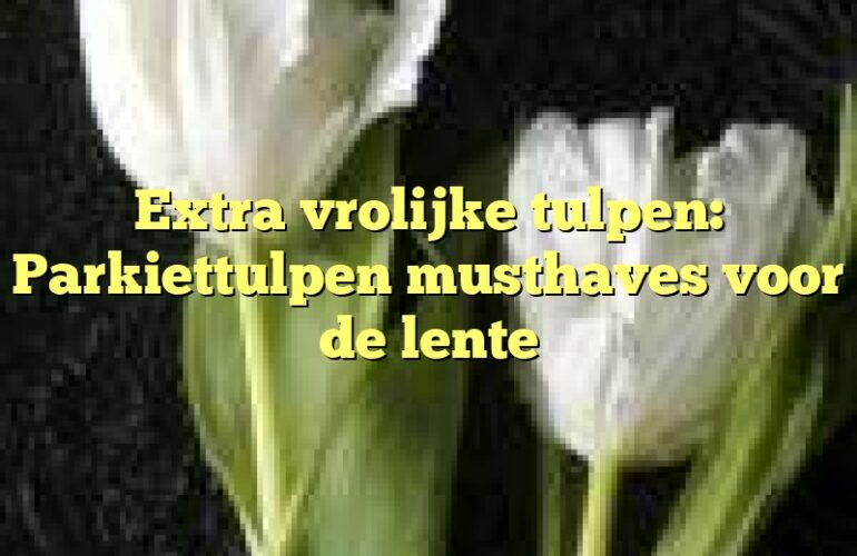 Extra vrolijke tulpen: Parkiettulpen musthaves voor de lente