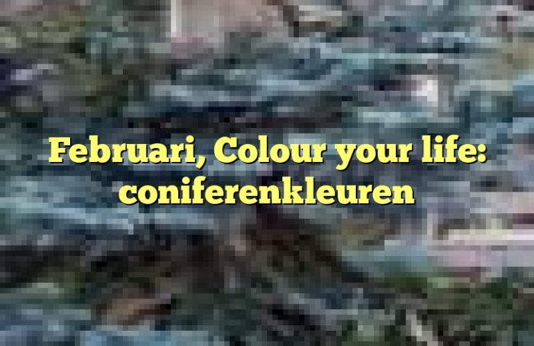 Februari, Colour your life: coniferenkleuren