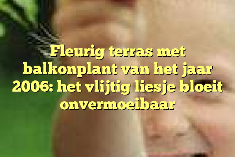 Fleurig terras met balkonplant van het jaar 2006: het vlijtig liesje bloeit onvermoeibaar