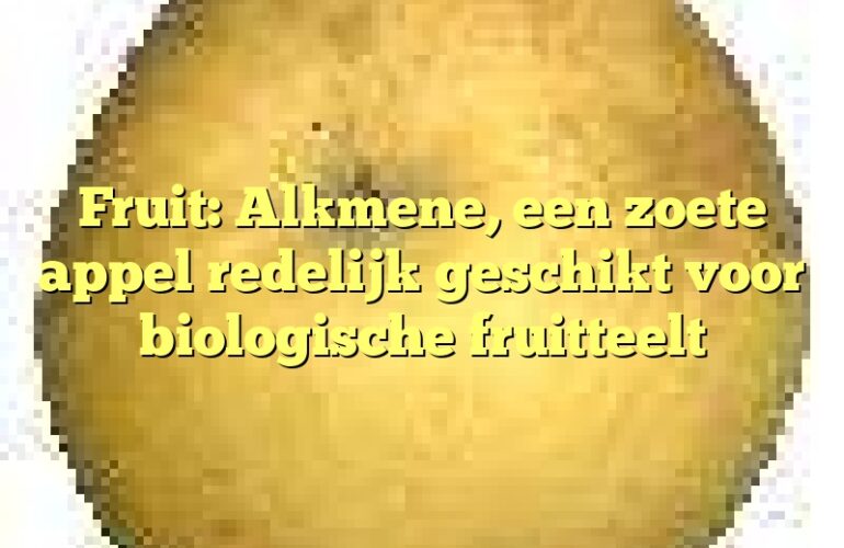 Fruit: Alkmene, een zoete appel redelijk geschikt voor biologische fruitteelt