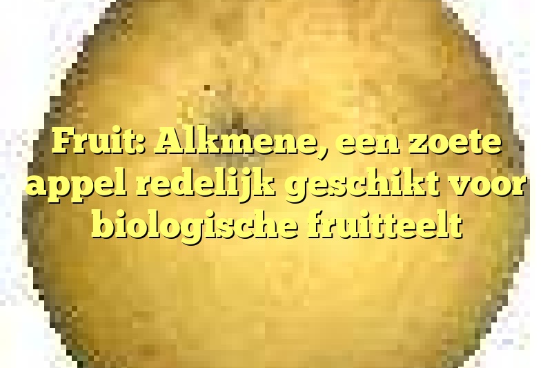 Fruit: Alkmene, een zoete appel redelijk geschikt voor biologische fruitteelt