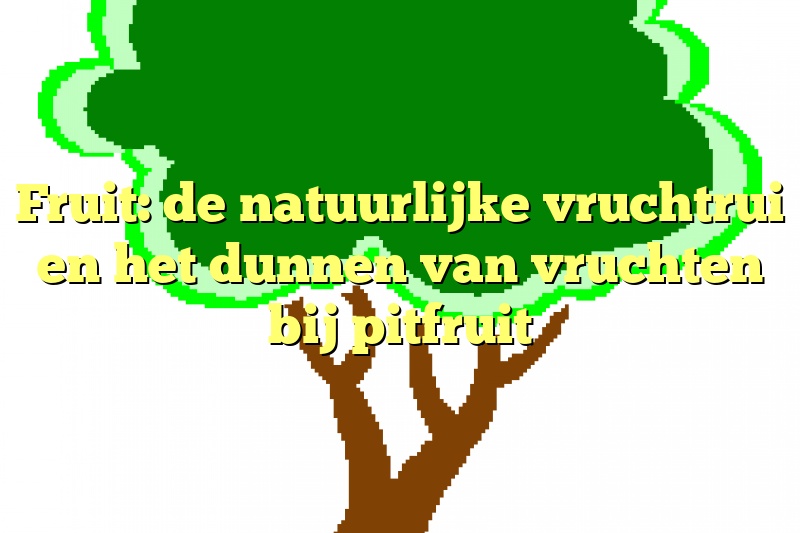 Fruit: de natuurlijke vruchtrui en het dunnen van vruchten bij pitfruit