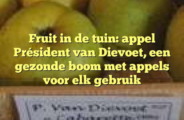 Fruit in de tuin: appel Président van Dievoet, een gezonde boom met appels voor elk gebruik