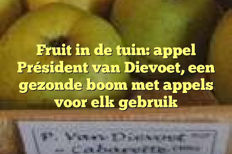 Fruit in de tuin: appel Président van Dievoet, een gezonde boom met appels voor elk gebruik