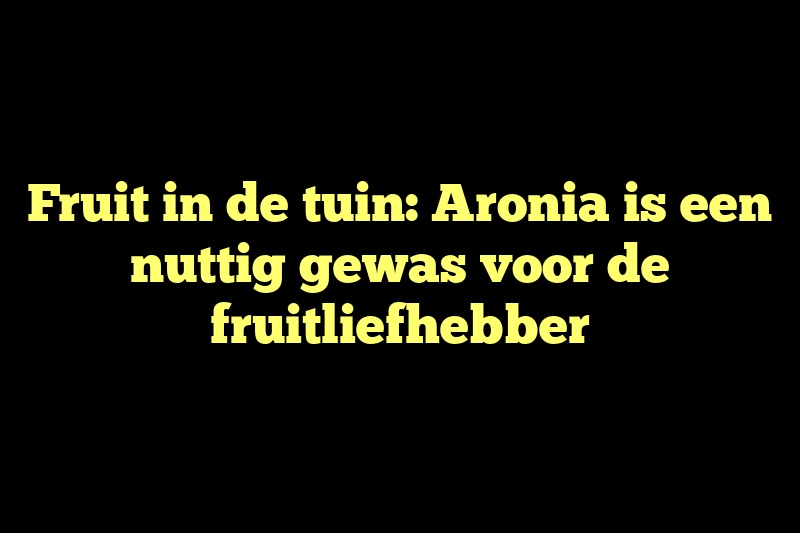 Fruit in de tuin: Aronia is een nuttig gewas voor de fruitliefhebber