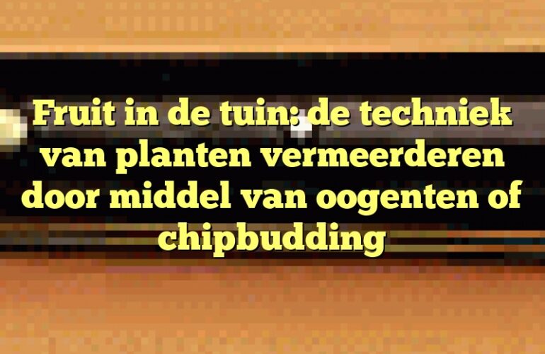 Fruit in de tuin: de techniek van planten vermeerderen door middel van oogenten of chipbudding