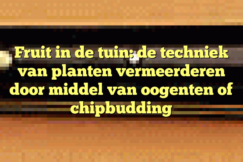 Fruit in de tuin: de techniek van planten vermeerderen door middel van oogenten of chipbudding