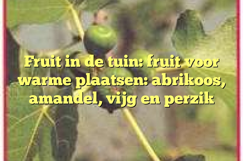 Fruit in de tuin: fruit voor warme plaatsen: abrikoos, amandel, vijg en perzik