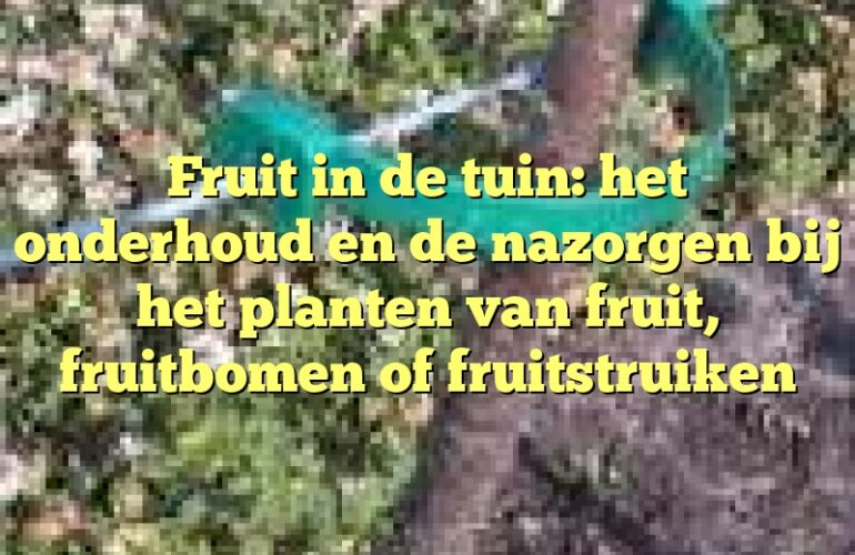 Fruit in de tuin: het onderhoud en de nazorgen bij het planten van fruit, fruitbomen of fruitstruiken