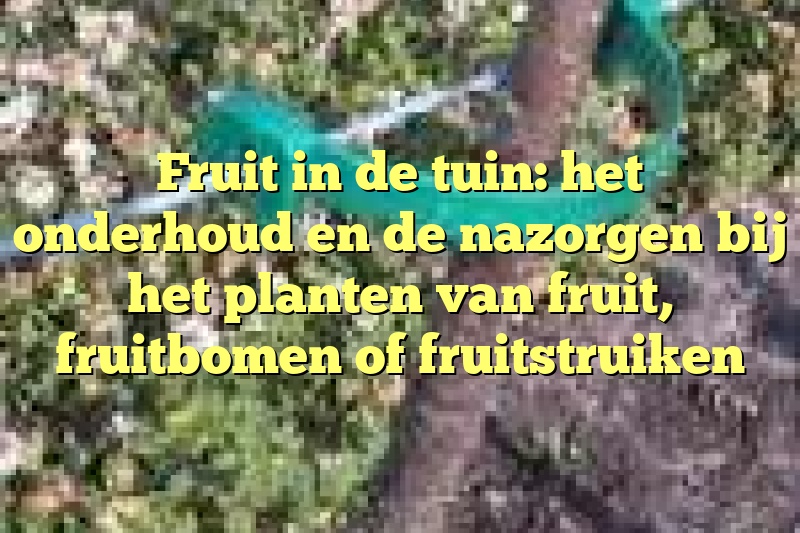 Fruit in de tuin: het onderhoud en de nazorgen bij het planten van fruit, fruitbomen of fruitstruiken