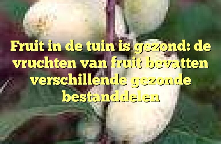 Fruit in de tuin is gezond: de vruchten van fruit bevatten verschillende gezonde bestanddelen