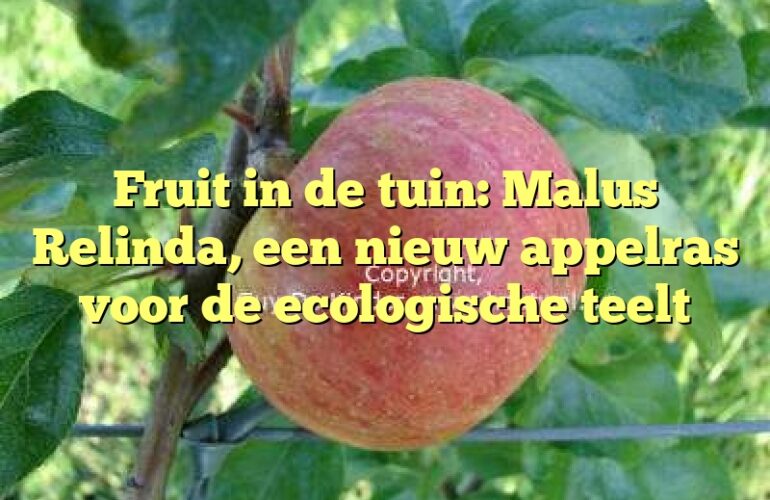 Fruit in de tuin: Malus Relinda, een nieuw appelras voor de ecologische teelt