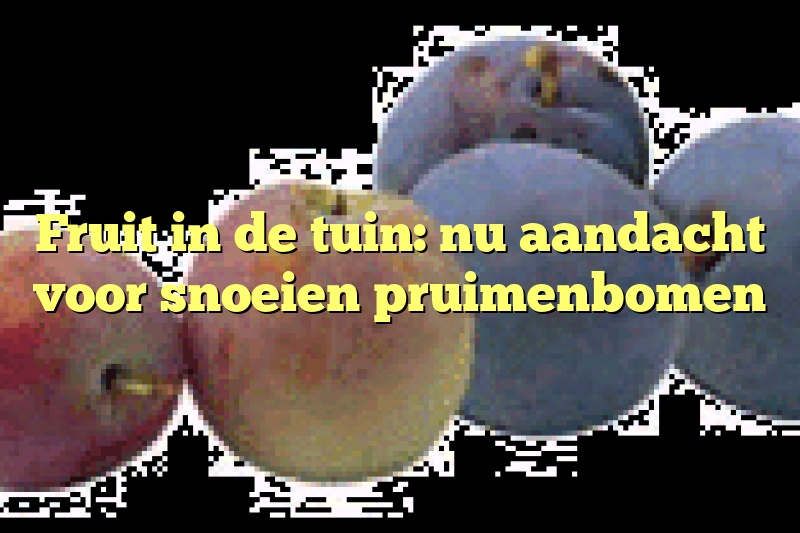 Fruit in de tuin: nu aandacht voor snoeien pruimenbomen