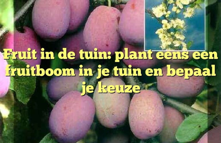 Fruit in de tuin: plant eens een fruitboom in je tuin en bepaal je keuze