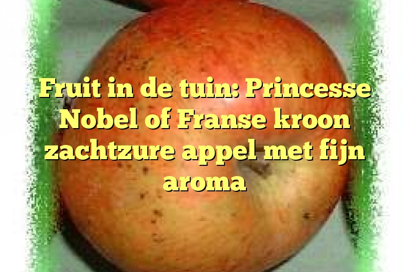 Fruit in de tuin: Princesse Nobel of Franse kroon zachtzure appel met fijn aroma