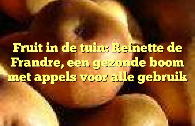 Fruit in de tuin: Reinette de Frandre, een gezonde boom met appels voor alle gebruik