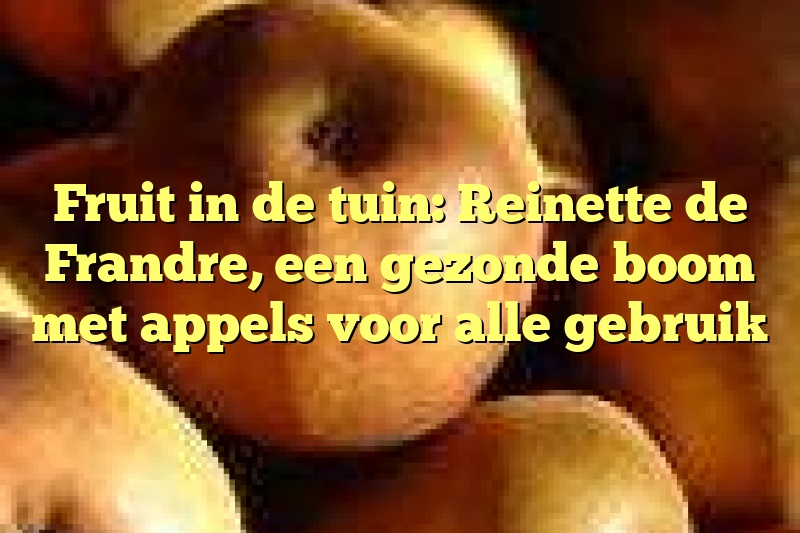 Fruit in de tuin: Reinette de Frandre, een gezonde boom met appels voor alle gebruik