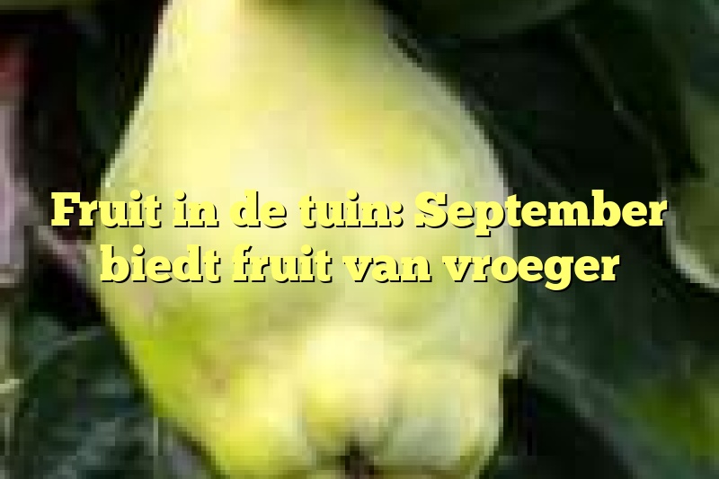 Fruit in de tuin: September biedt fruit van vroeger