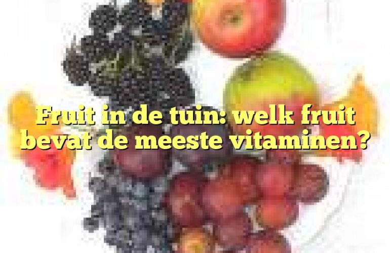 Fruit in de tuin: welk fruit bevat de meeste vitaminen?