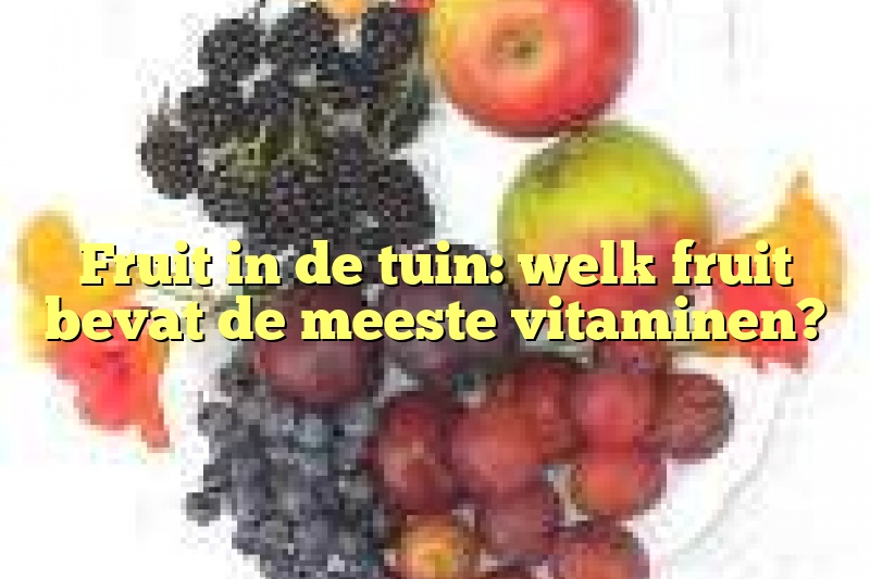 Fruit in de tuin: welk fruit bevat de meeste vitaminen?