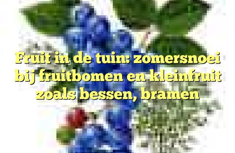 Fruit in de tuin: zomersnoei bij fruitbomen en kleinfruit zoals bessen, bramen