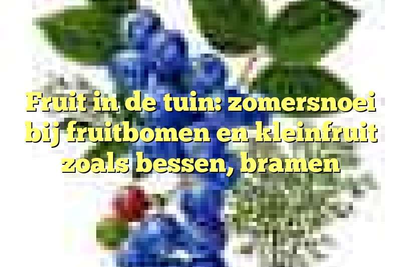 Fruit in de tuin: zomersnoei bij fruitbomen en kleinfruit zoals bessen, bramen