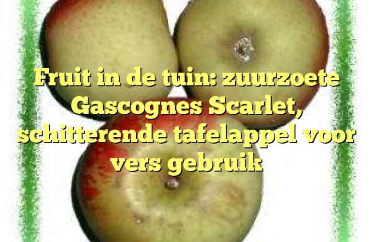 Fruit in de tuin: zuurzoete Gascognes Scarlet, schitterende tafelappel voor vers gebruik