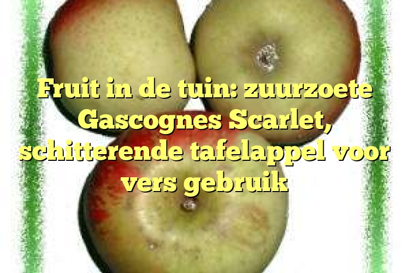 Fruit in de tuin: zuurzoete Gascognes Scarlet, schitterende tafelappel voor vers gebruik