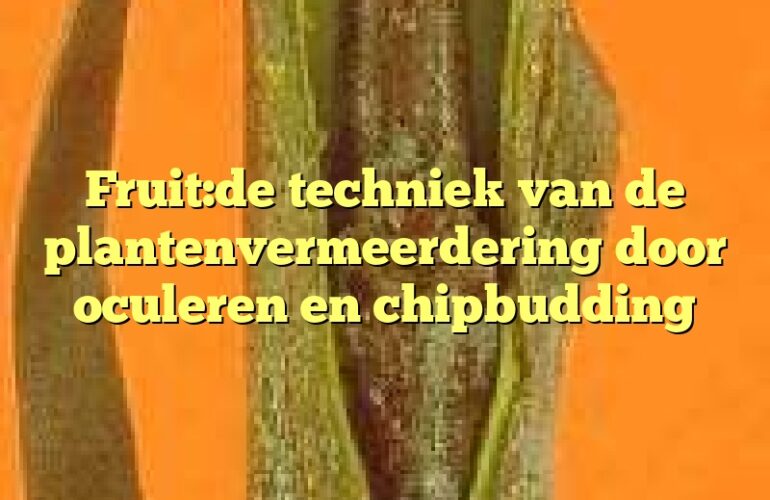 Fruit:de techniek van de plantenvermeerdering door oculeren en chipbudding