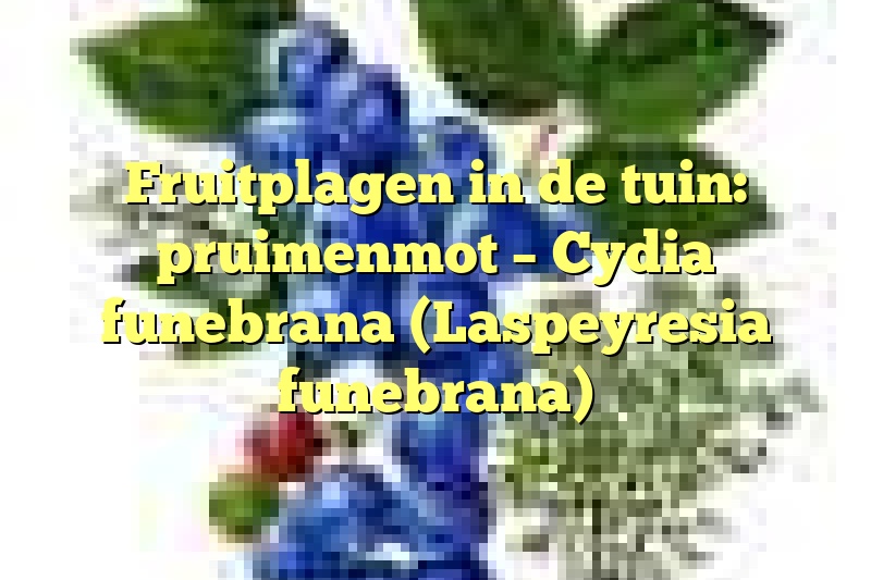 Fruitplagen in de tuin: pruimenmot – Cydia funebrana (Laspeyresia funebrana)