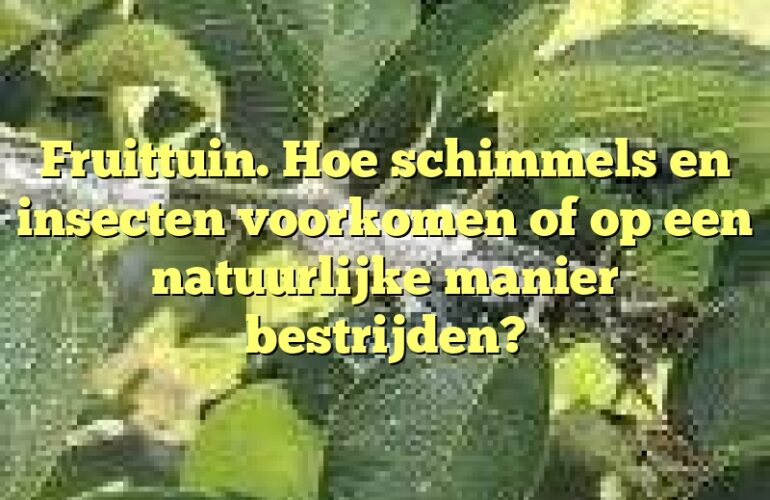 Fruittuin. Hoe schimmels en insecten voorkomen of op een natuurlijke manier bestrijden?