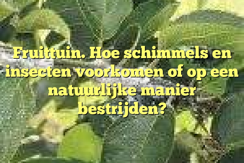 Fruittuin. Hoe schimmels en insecten voorkomen of op een natuurlijke manier bestrijden?